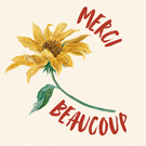 Merci beaucoup avec un tournesol radieux